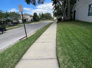 Cameron W.'s turf care service result