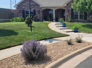 Dwight S.'s grass maintenance service result