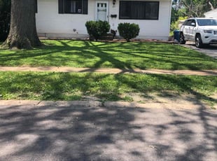 Angela B.'s lawn maintenance service result