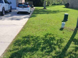 Tamera S.'s turf maintenance service result