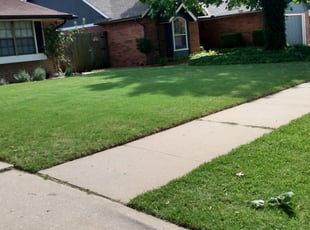 Evelyne N.'s grass cutting service result