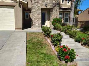 Kathy B.'s Bush Trimming service result