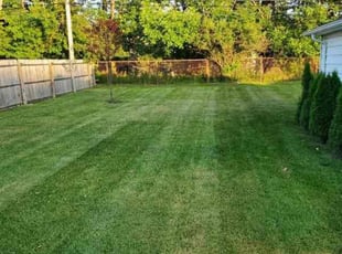 Glenda H.'s turf maintenance service result