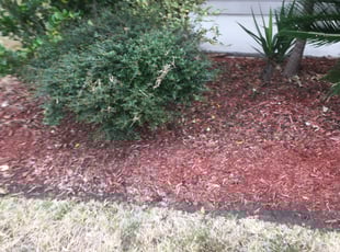 Kara C.'s Flower Bed Weeding service result