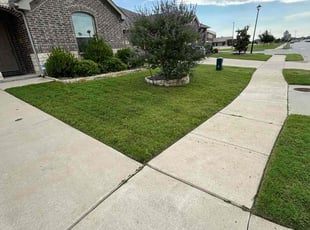 Shannon L.'s turf care service result