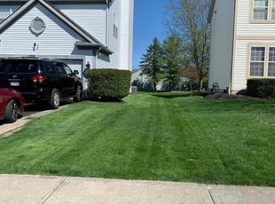 Joanne T.'s lawn service service result