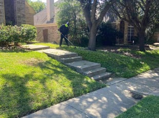 Michael A.'s turf maintenance service result