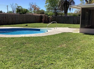 Delman A.'s lawn care services service result