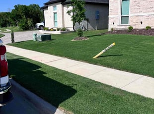 Lena G.'s grass maintenance service result