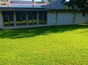 Montie G.'s grass maintenance service result