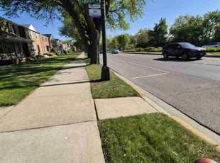 Tony P.'s turf care service result