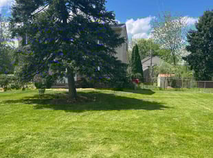 Melissa F.'s lawn care services service result