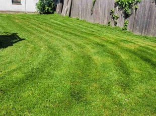 Laura L.'s grass maintenance service result