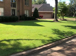 Rose I.'s turf care service result