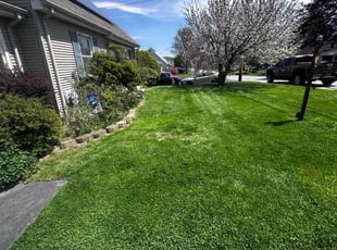 Clyde M.'s lawn service service result