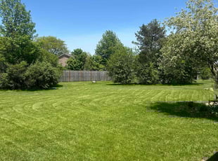 Melissa F.'s grass cutting service result
