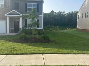 Ali A.'s gardening service service result