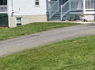 Mario L.'s lawn care services service result