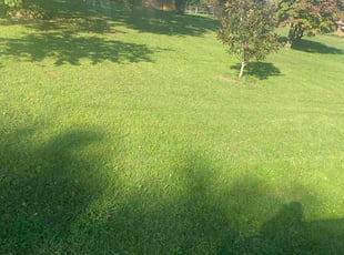 Victoria H.'s turf maintenance service result