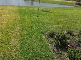 Jamie H.'s turf maintenance service result