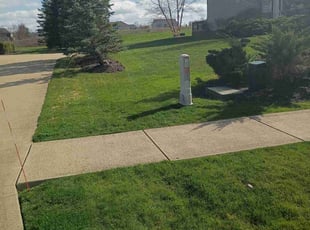 Hector V.'s turf maintenance service result