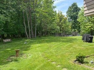 Rosslyn W.'s grass maintenance service result