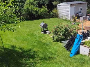 Michael K.'s grass cutting service result