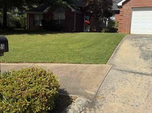 Calley C.'s lawn care services service result