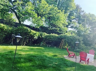 Glenn E.'s Bush Trimming service result