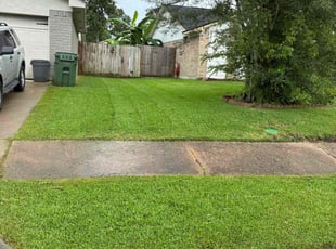 Kara W.'s lawn care services service result