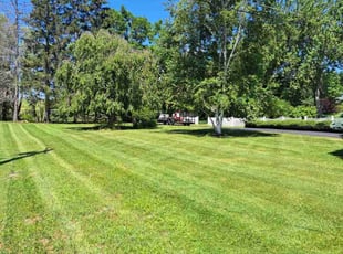 Gregory B.'s turf care service result