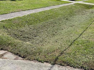 William C.'s lawn care services service result