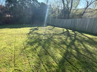 Khitam N.'s lawn care services service result