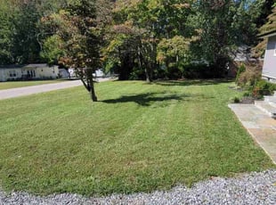 Evan S.'s turf maintenance service result
