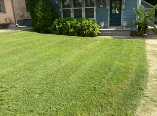 George C.'s lawn care services service result
