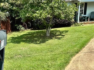 Joan. N.'s lawn care service result