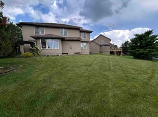 Raynee B.'s lawn care services service result