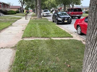 Steve W.'s grass maintenance service result