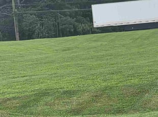 Robert F.'s lawn care services service result