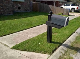 Kamela H.'s lawn care services service result