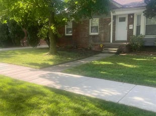 Vincent S.'s turf care service result