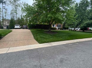 Colby C.'s lawn care service result