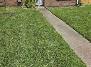 Joshua A.'s turf maintenance service result
