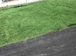 Will b.'s lawn maintenance service result