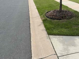 Samantha S.'s turf maintenance service result