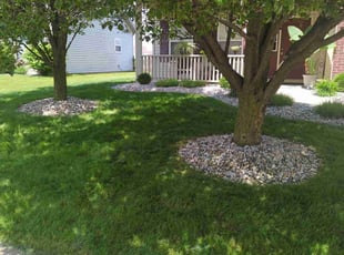 Jonathan K.'s grass maintenance service result