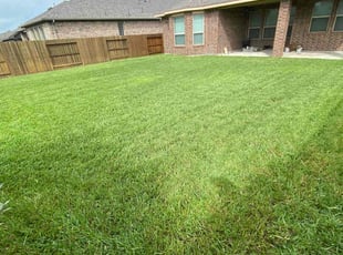 Vanessa P.'s lawn care services service result