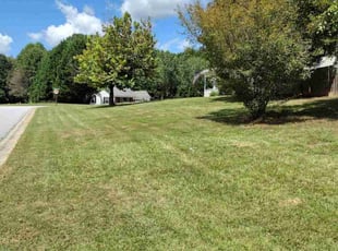 Kiwana J.'s lawn care services service result