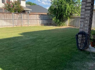 Raj R.'s lawn care service result