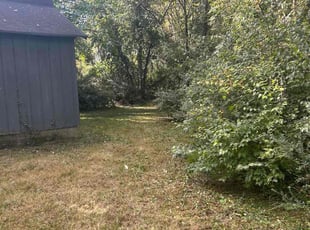 Suzanne H.'s turf care service result